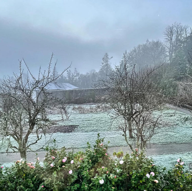 Christmas Candle Making at Mount Congreve Gardens