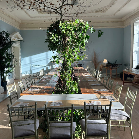 Christmas at Mount Congreve