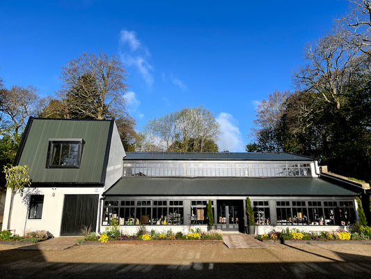 Beginners Soap Making Workshop & Amo&Pax (Wicklow)